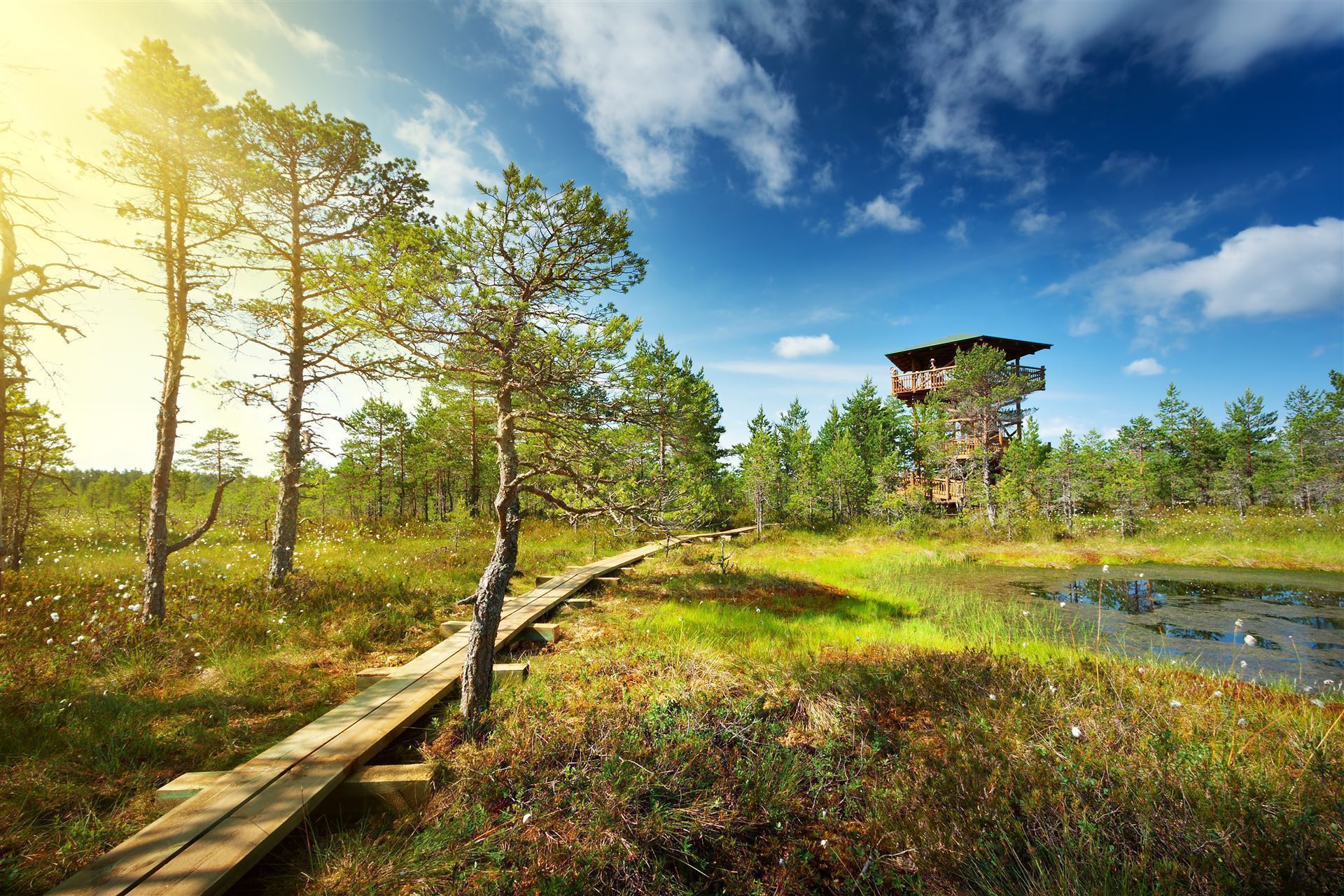  Estland_Lahemaa Nationalpark