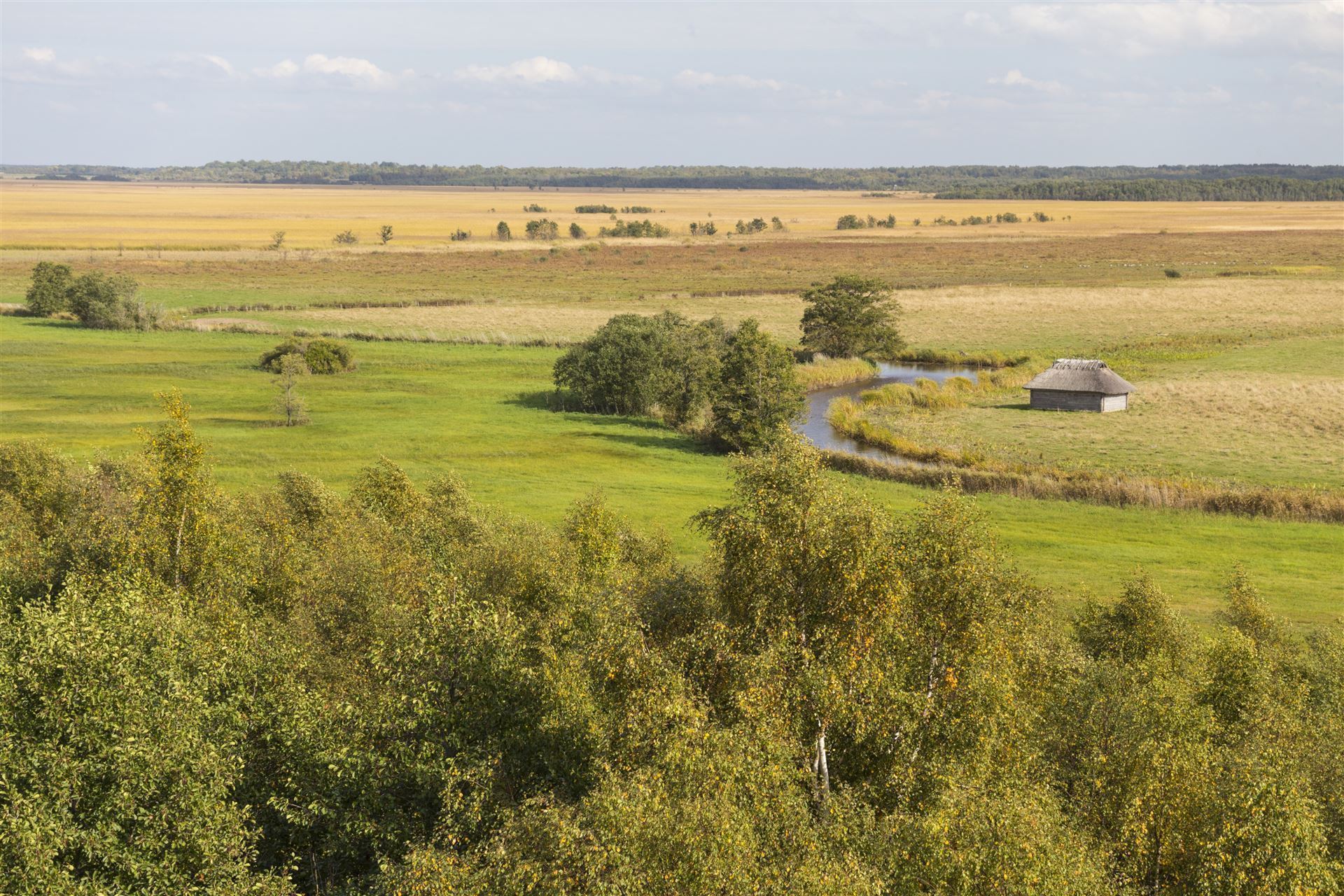 Matsalu Nationalpark