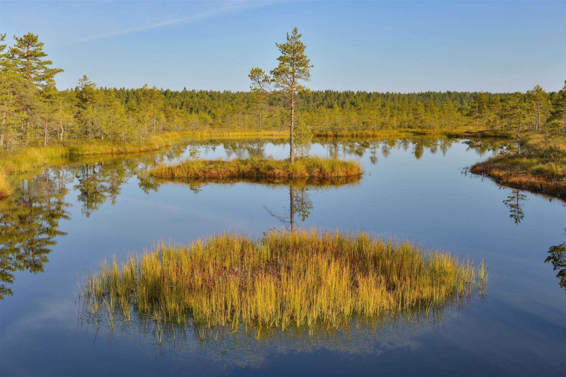 Lahemaa Nationalpark