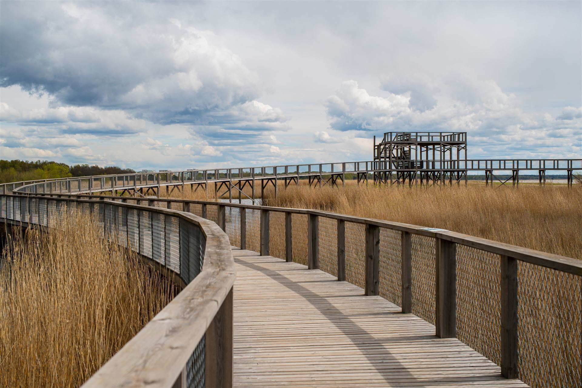  Estland_Parnau_Strand