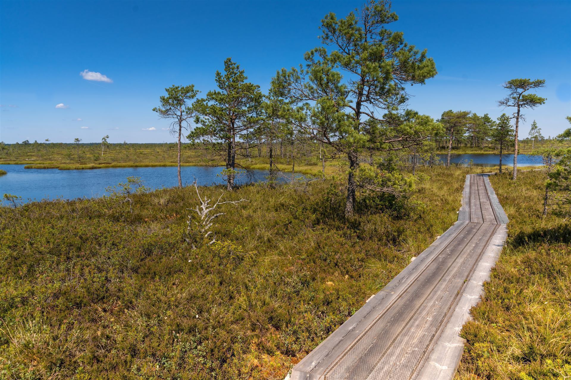 Soomaa Nationalpark