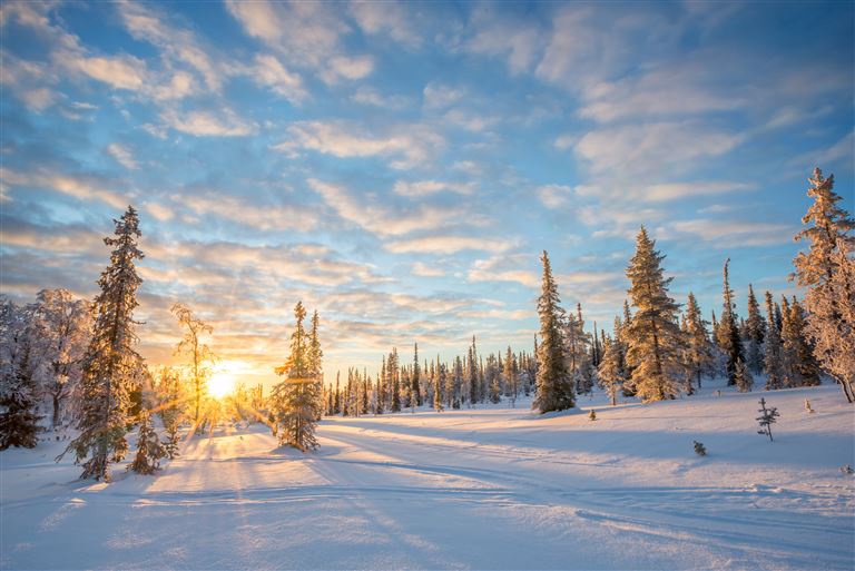 Das Beste von Lappland ©Delphotostock/adobestock