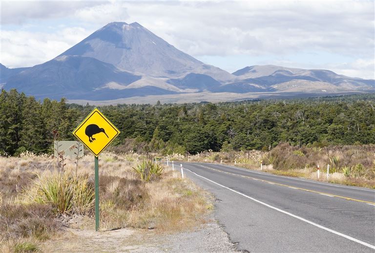 Erlebnis Neuseeland auf Schiene & Straße ©georgeclerk/istock