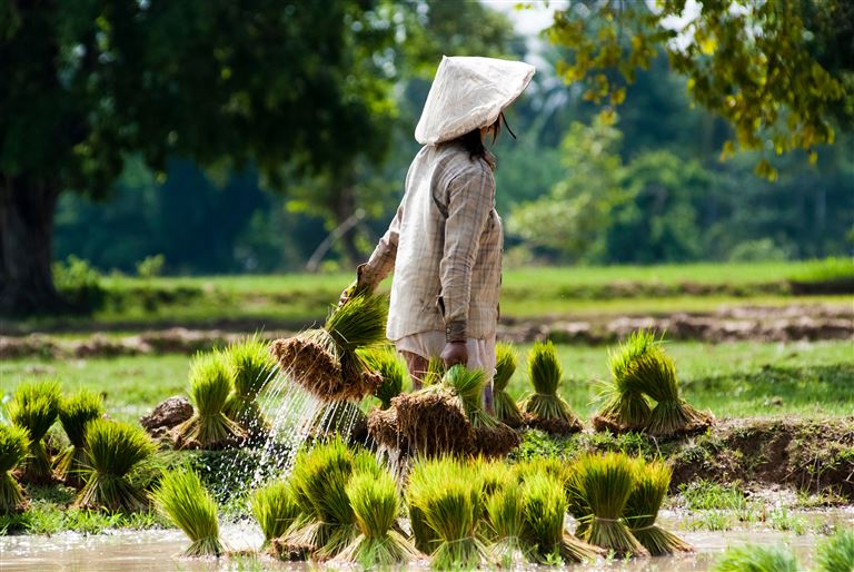 Laos & Kambodscha intensiv  ©gnomeandi/adobestock