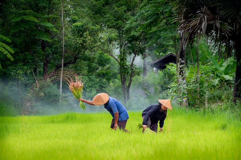 Vietnam entspannt erleben ©tongpatong/istock