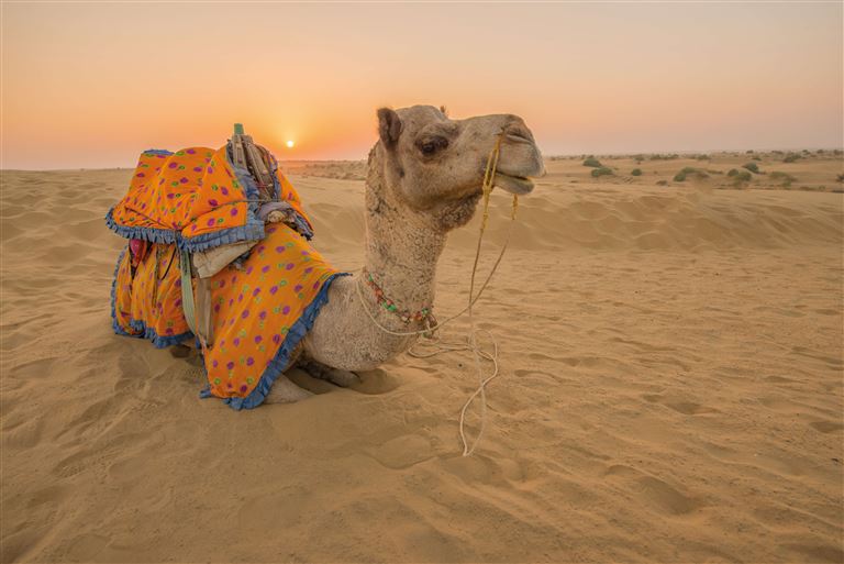Die ausführliche Rajasthan Reise © by SKR Reisen GmbH
