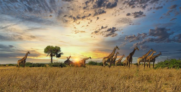 Botswana und Simbabwe - Donnernder Rauch und Okava ©poco_bw/istock