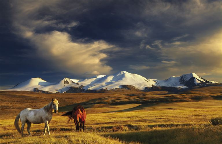 Große Mongolei-Expedition © by IKARUS TOURS GmbH