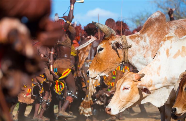 Ursprüngliches Südäthiopien ©JUAN CARLOS MUNOZ/adobestock