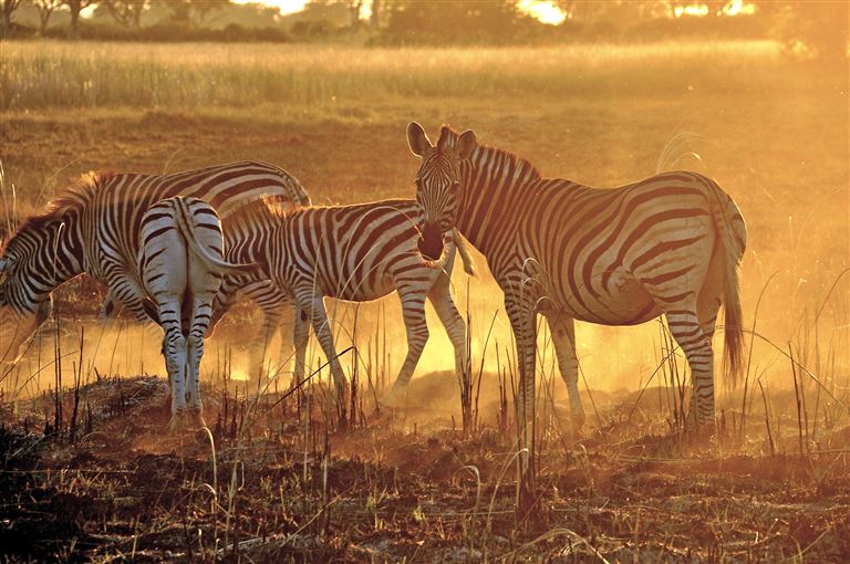 Afrika von seiner schönsten Seite © by DIAMIR Erlebnisreisen GmbH