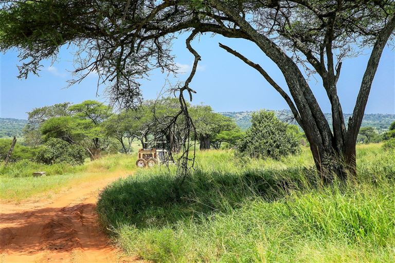 Wildnis zwischen Kilimanjaro und Serengeti © by DIAMIR Erlebnisreisen GmbH