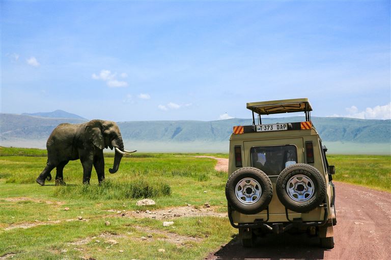 Kilimanjaro, Safari und Sansibar © by DIAMIR Erlebnisreisen GmbH