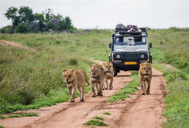 Kenia: Impressionen © by SKR Reisen GmbH