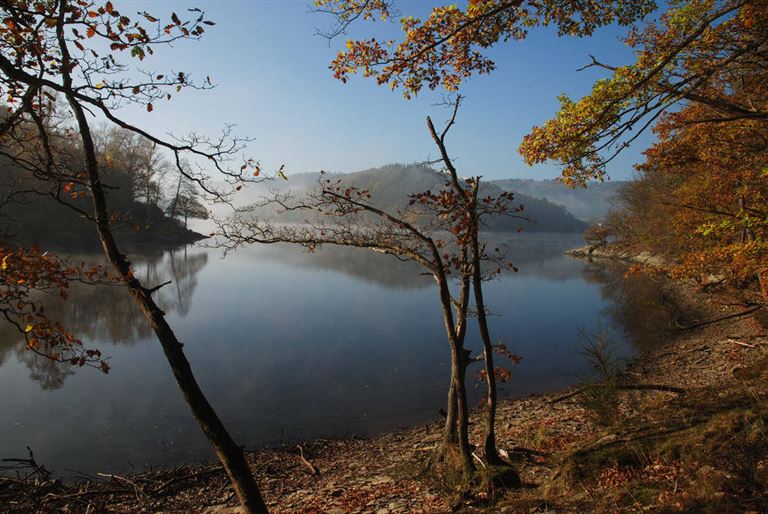 Nationalpark Eifel – wild, waldreich & viel Wasser © by Wikinger Reisen GmbH