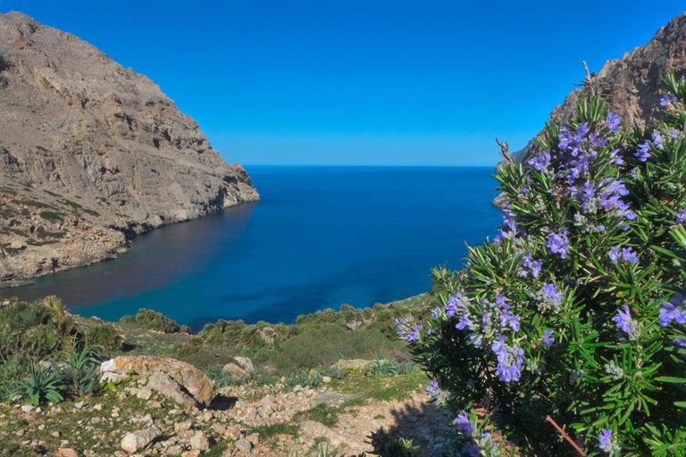 Pura Vida – mallorquinische Landliebe © by Wikinger Reisen GmbH