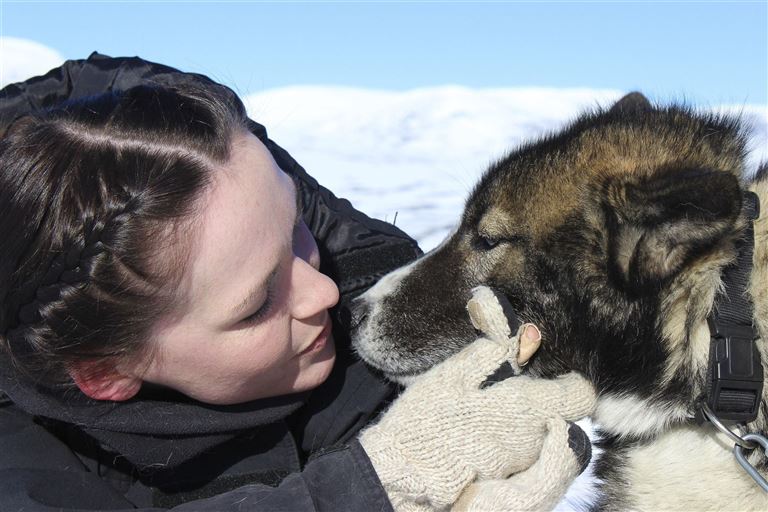 Husky-Sterntouren im Hochfjäll © by DIAMIR Erlebnisreisen GmbH