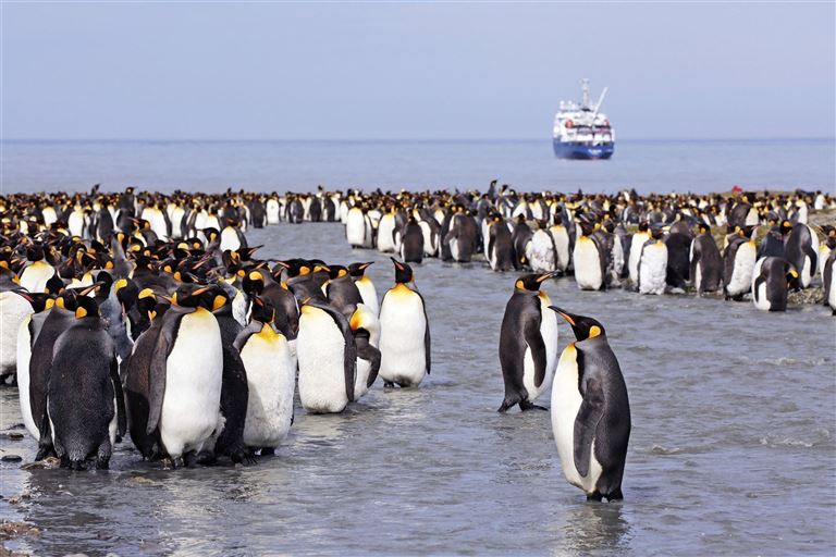 Die große Antarktis Reise © by DIAMIR Erlebnisreisen GmbH
