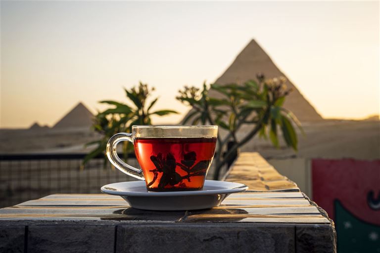 Nilkreuzfahrt Memnon First-Class & Baden ©Diy13/istock