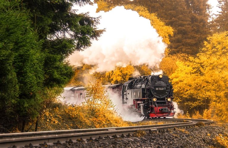 Harz: Wandern ©Janni/adobestock