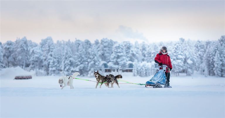 Winter in Lappland - aktiv & entspannt © by Highländer Reisen GmbH