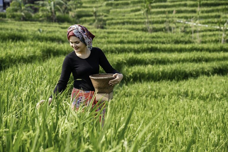 Java entdecken & auf Bali entspannen ©rudi_suardi/istock