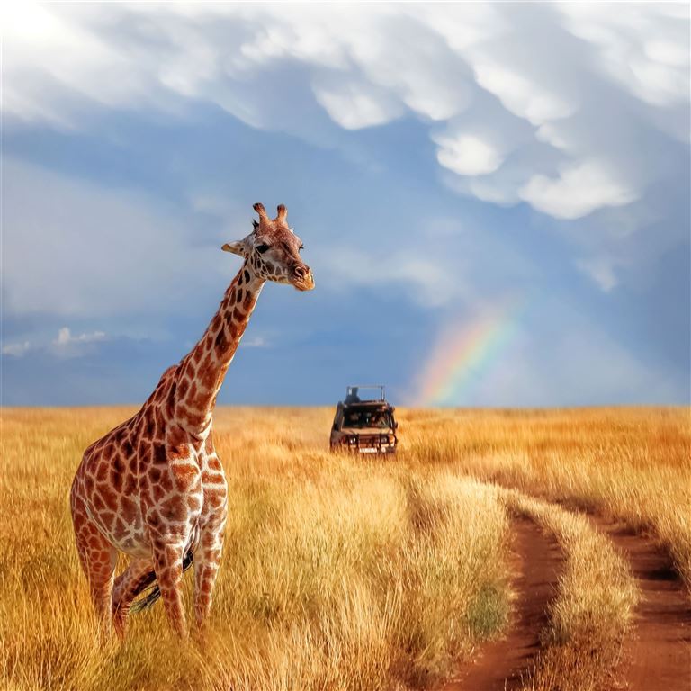 Naturparks Ostafrikas ©Delbars/istock