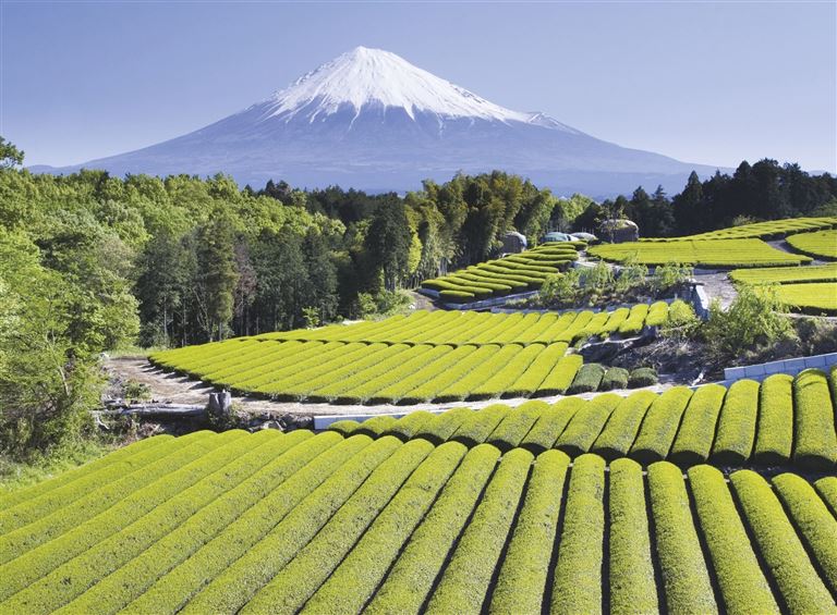 Kontrastreiches Japan © by IKARUS TOURS GmbH