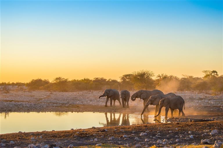 Namibia - Atlantik, Dünen und wilde Tiere ©Eugen Zibiso/istock