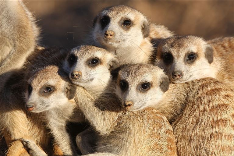 Namibia mit Muße ©namibelephant/istock