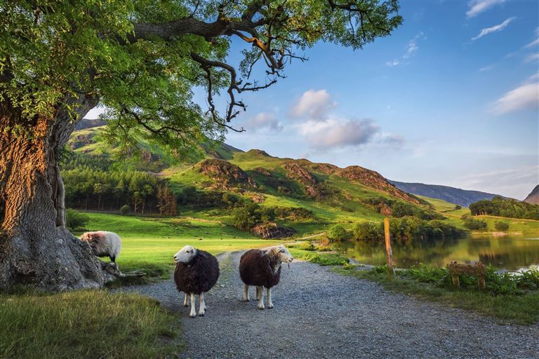 Den Norden Englands entdecken © by IKARUS TOURS GmbH