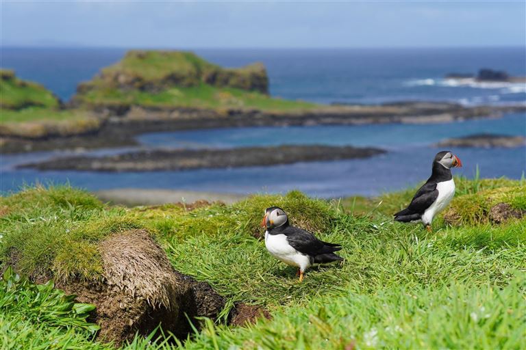 Schottland - Highlands, Hebriden und Orkney-Inseln ©13threephotography/istock