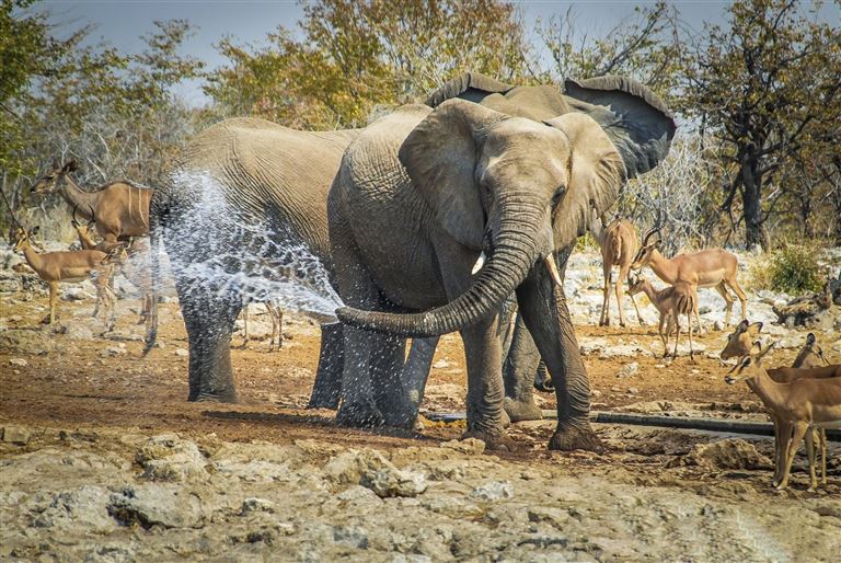 Quer durch das südliche Afrika © by IKARUS TOURS GmbH