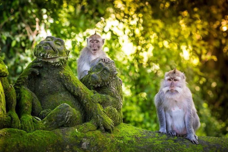 Inselhopping auf Indonesiens Trauminseln © by Berge & Meer Touristik GmbH