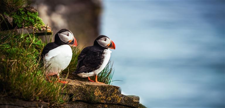 Wandern in Island © by SKR Reisen GmbH