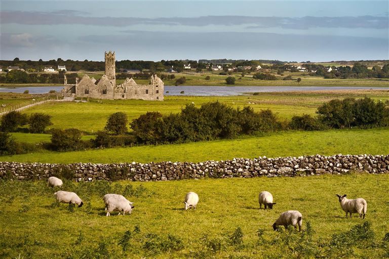 Irland - Sehen, Spüren & Erleben © by Berge & Meer Touristik GmbH