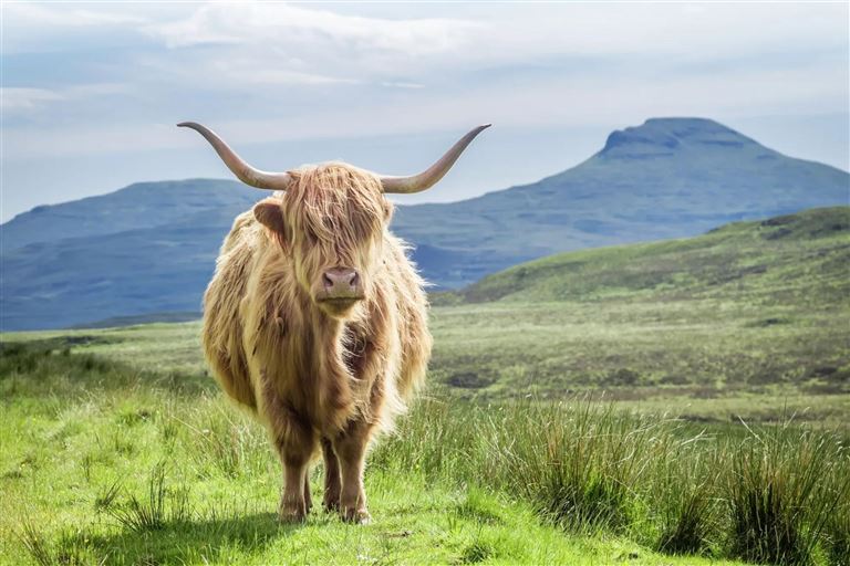 Schottland Highlights © by Wolters Reisen