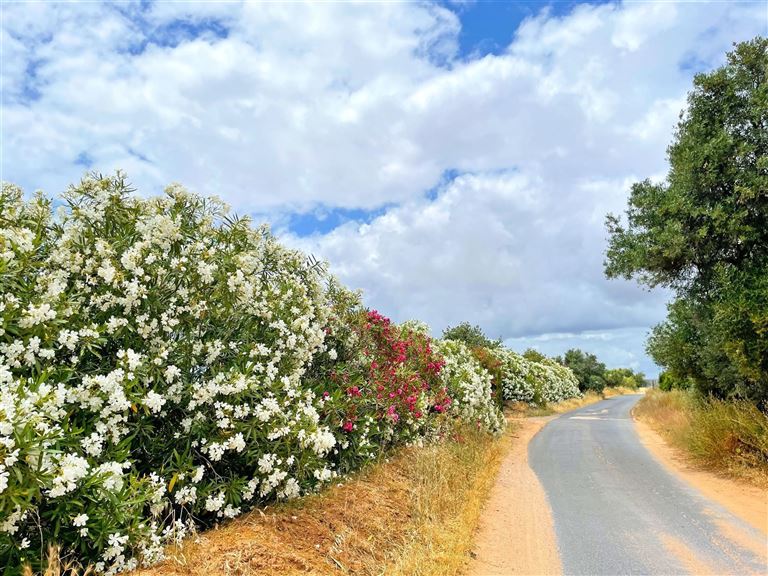 Radreise entlang Portugals Traumküste © by Berge & Meer Touristik GmbH
