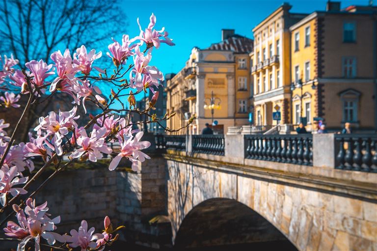 Südengland: Landschaft und Gartenkunst ©:Adam Bartosik/istock