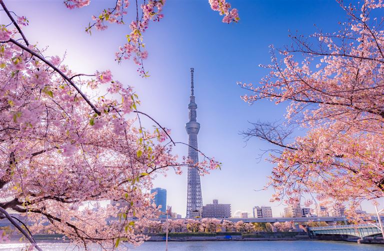 Höhepunkte Japans  ©chanchai duangdoosan/istock