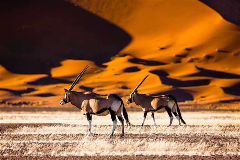 Zwischen Sossusvlei und Etosha © by DIAMIR Erlebnisreisen GmbH