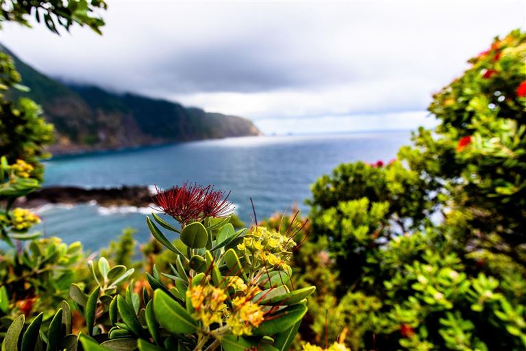 Lissabons Charme & Madeiras Naturparadies © by Berge & Meer Touristik GmbH