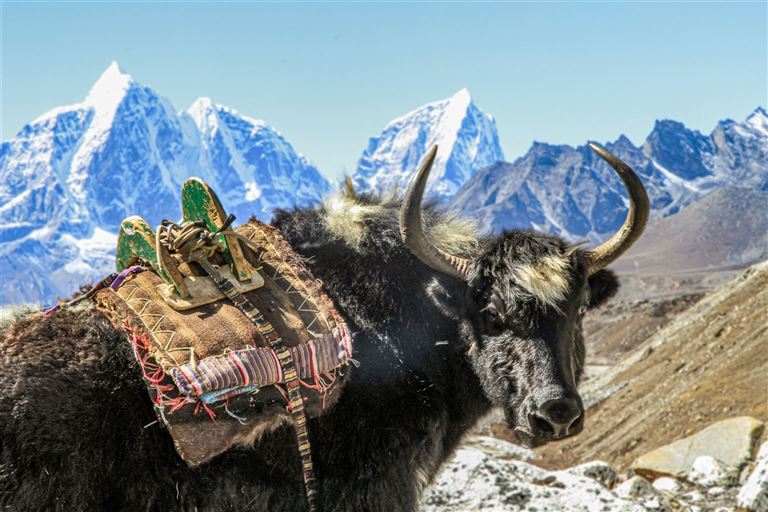 Trekking zum Mount-Everest-Basislager © by DIAMIR Erlebnisreisen GmbH