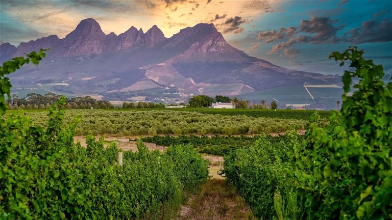 Wellness, Wein & wilde Tiere ©Fokke Baarssen/adobestock