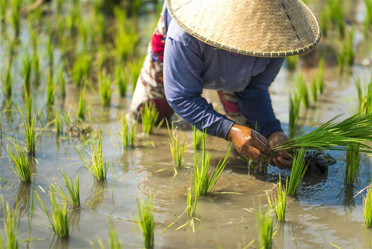 Tempel, Tuk-Tuks & Tom Yum-ein Abenteuer für alle  ©ti-ja/istock