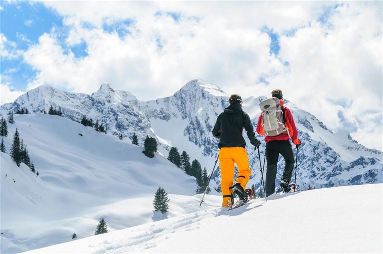Erzgebirge: Schneeschuh, Schloss und Spitzentouren ©ARochau /adobestock