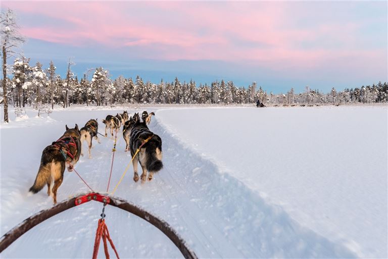 Adventserlebnis in Schwedisch Lappland – Rundreise