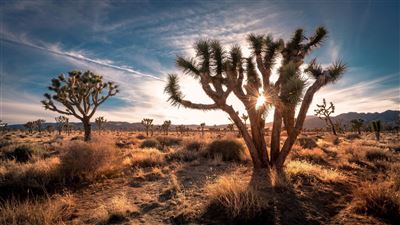 Western Values – Rundreise