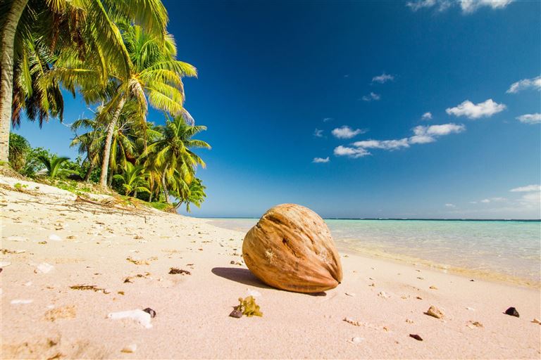 Fiji zum Kennenlernen ©Libor/adobestock
