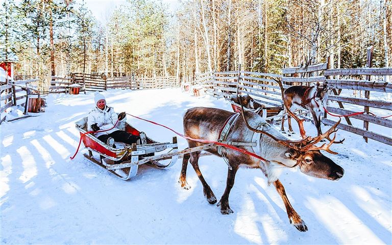 Winterzauber am Polarkreis - 4 Tage ©Roman Babakin /adobestock