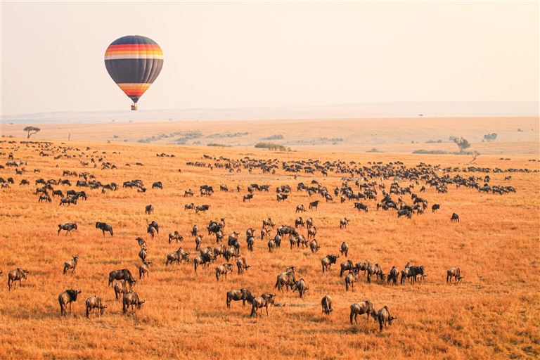 Masai Mara ©國樹潘/Guó Shù Pān /adobestock